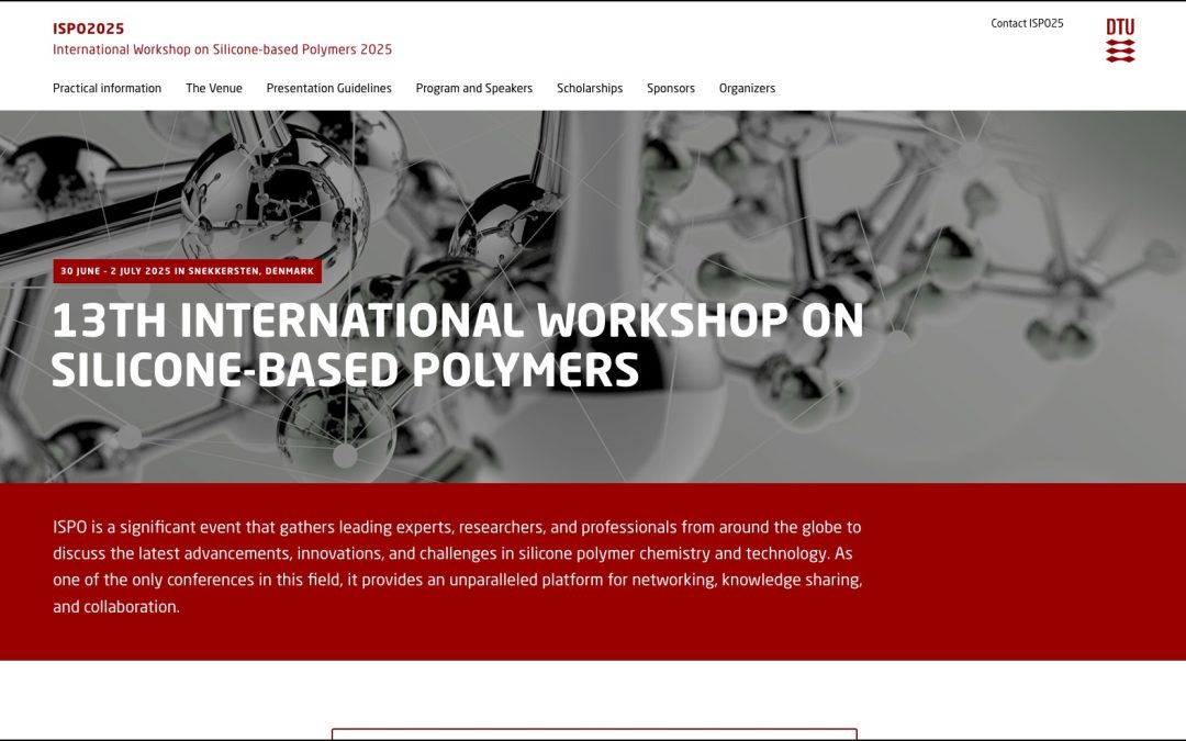 13th International Workshop on Silicone based Polymers  2025